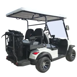 Совершенно новый высококачественный роскошный уличный легальный 4 пассажирский мини-гольф-кар