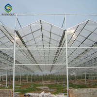 Structure de serres Sainpoly en tubes galvanisés, serre en polycarbonate, système de ventilation de serre