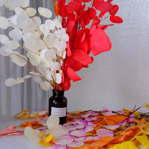 Naturale essiccato eucalipto populus foglie di mela tecnologia conservata essiccazione per fiori decorativi ghirlande e piante <span class=keywords><strong>rose</strong></span> - Product Image 6