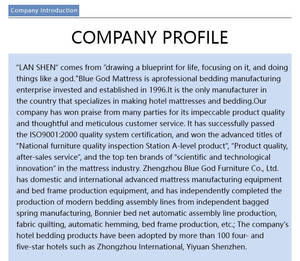 Colchones <span class=keywords><strong>de</strong></span> Compresión <span class=keywords><strong>de</strong></span> Nuevo Diseño con Resortes Ensacados, Soporte Fuerte, Plegables para Uso en Hoteles y Dormitorios, Compra al por Mayor - Product Image 6