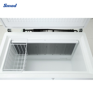 Congelador Horizontal de Gas de Absorción de Amoníaco R717 de 165 l, 2 Vías, Dsg-160b1 - Product Image 4
