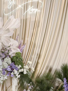 <span class=keywords><strong>Rideau</strong></span> <span class=keywords><strong>de</strong></span> fond en tissu <span class=keywords><strong>de</strong></span> soie <span class=keywords><strong>de</strong></span> lait décoratif pliable élastique moderne pour les mariages Décorations <span class=keywords><strong>de</strong></span> mariage modernes - Product Image 2