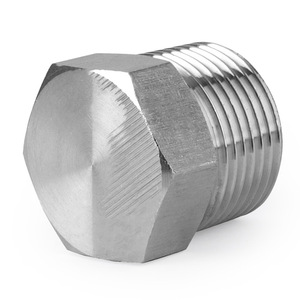 Bouchon hexagonal en acier inoxydable à filetage externe PT NPT 4 6 8 mm 22 x 1,5 mm Série DIN 300 - Product Image 2