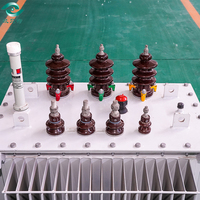 Transformateurs à huile à économie d'énergie Chine 315KVA avec conception à faible perte pour un usage industriel Transformateur à haut rendement