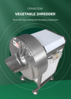 Rallador de Jengibre de Acero Inoxidable, Triturador de Jengibre Comercial para Cocina de Restaurante, Rebanador de Jengibre Multifuncional