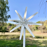 Contrôleur d'éolienne à temporisation 8 pales pour éolienne domestique petite éolienne