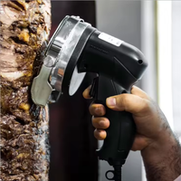 Couteau à shawarma électrique, coupe-viande avec 2 lames, 80W, couteau à kebab turc professionnel, acier inoxydable