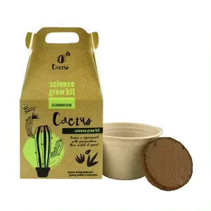 DIY Flower Cactus Herb Plant Fertilizer Grow Kit Indoor Herb Starter Kit With Biodegradable Pot Indoor Garden Kit