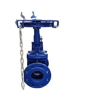 Válvula de Compuerta de Vástago Ascendente de 2 Pulgadas, Tipo Más Común para Servicio General de Fluidos, Estándar DIN/BS/JIS, Accionamiento por Cadena, Gran Venta en Irak - Product Image 1