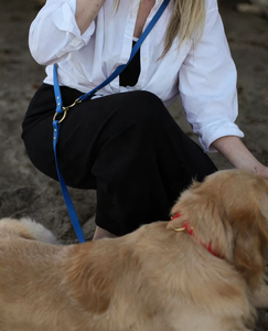 Guinzaglio per Cani in PVC Blu con Logo Personalizzato, Mani Libere, con Anello in Metallo per Appendere Borsa da Cintura e Guinzaglio da Vita - Product Image 3