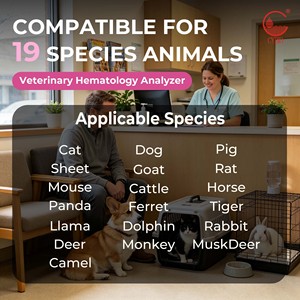 Analizador Hematológico Veterinario de Sobremesa de 3 Partes, Máquina FBC Multiespecífica para Hospitales de Animales Pequeños - Product Image 3