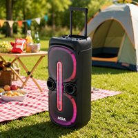 Enceinte de karaoké portable double 10 pouces avec chariot, 2 micros sans fil, lumière LED et télécommande