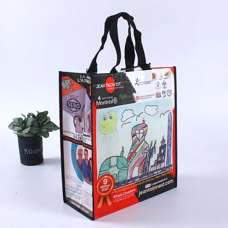 RELIFE Não-tecido Composto Saco Laminado Tote Saco Não Tecido com Zipper Atacado para Compras Vestuário Bom Preço Pp Carton