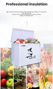 Refrigerador de puerta superior, congelador de refrigerador de la <span class=keywords><strong>mejor</strong></span> calidad, de lado a lado, BD-250, <span class=keywords><strong>2022</strong></span> - Product Image 3