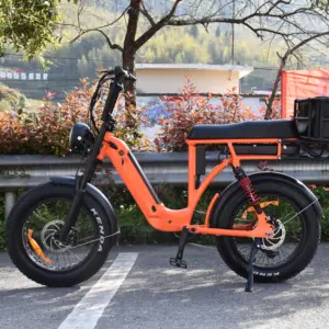 공장 가격 48v 500w 슈퍼. 73 전기 10Ah + 10Ah 듀얼 배터리 ebike 전기 자전거