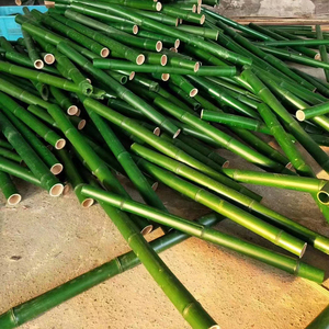 Venta al por mayor <span class=keywords><strong>de</strong></span> soporte ecológico planta <span class=keywords><strong>de</strong></span> cultivo natural crudo Moso postes <span class=keywords><strong>de</strong></span> bambú artificiales - Product Image 4