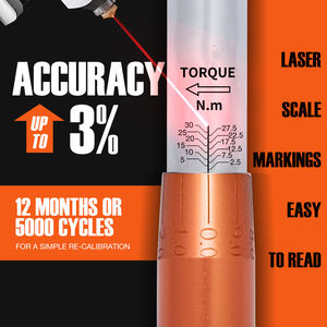 Clé dynamométrique à cliquet HOYO 3/8'' à entraînement métrique, 72 dents, précision de 3 %, 2,5-120 Nm, personnalisable OEM, en acier allié, usage industriel - Product Image 2