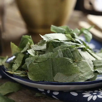 Produits à base de plantes chinoises Yin Yang Huo, feuilles d'Epimedium, aliments santé de haute qualité pour hommes, fertilité des reins, tonification des reins, herbes pour les reins