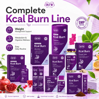 OKTW Kcal Burn Complément Alimentaire pour la Gestion du Poids OEM ODM Marque Privée Capsules Gummies Bandes Comprimés à Croquer Bâtonnets de Gelée