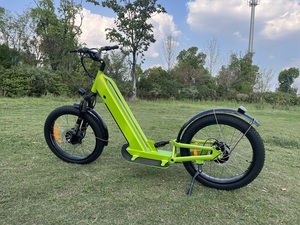 LOHAS trottinette électrique tout-terrain à grandes roues avec frein hydraulique 750W Offre Spéciale à deux moteurs Trottinette électrique pour adulte - Product Image 5