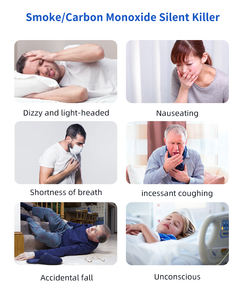 Détecteur <span class=keywords><strong>de</strong></span> fumée et <span class=keywords><strong>de</strong></span> <span class=keywords><strong>monoxyde</strong></span> <span class=keywords><strong>de</strong></span> <span class=keywords><strong>carbone</strong></span> composite domestique PGST avec batterie <span class=keywords><strong>de</strong></span> 10 ans et capteur d'alarme incendie - Product Image 5