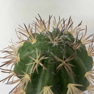 Vaso succulento con palla di Cactus simulata verde tropicale decorazione per la casa pianta artificiale-149 - Product Image 6