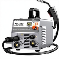Machine à souder électrique multifonctionnelle au laser et à l'arc d'argon, double protection, modèle compact domestique 220V NBC-250 Carbone