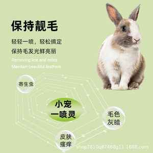 สเปรย์กระต่ายสำหรับสัตว์เลี้ยงกระต่าย ดูแลขน กำจัดสะเก็ดผิวหนัง 1 ขวด - Product Image 1