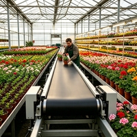 Convoyeur à bande plat modulaire industriel pour ligne de production de traitement des fleurs, compatible avec la découpe et le regroupement