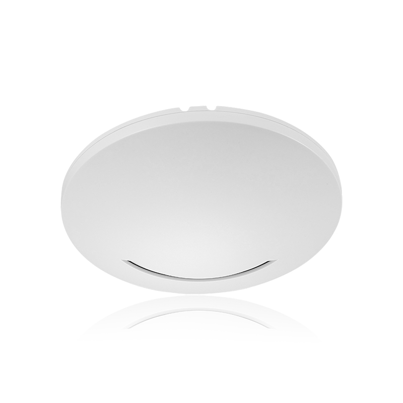 RTS Openwrt Ceiling Ap Standard 48V