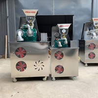 Machine de fabrication et de moulage de nouilles d'extrudeuse de vermicelles de riz vermicelles fraîches