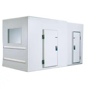 Insulated Freezer Cold Room For Meat Cold Storage Van Bead Storage Units Fish Cold Storage