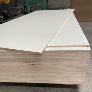 Plywood Manufacturer 16mm 17mm Glossy Matt White/Wooden Grain Formica HPL Plywood