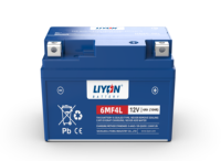 Nouvelle batterie de démarrage de moteur 12V 8.6Ah haute performance, garantie 12 mois, compatible avec les motos CF Moto, les quads, les UTV et les dune buggies