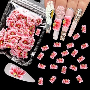 Decorazioni per Unghie Kawaii Fatte a Mano con Fiori 3D in Acrilico, Strass e Fiori 3D in Resina Personalizzati - Product Image 5