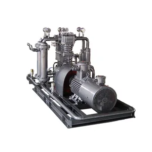 Hochdruck 30 Bar 40 Bar ölfreie industrielle Luftkompressoren für PET-Flaschen-Blasenformmaschinen