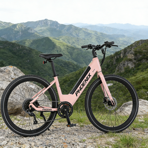 <span class=keywords><strong>Bicicleta</strong></span> Eléctrica Nueva de Fábrica, Modelo 700CC, Cuadro Reforzado de Acero al Carbono, 36V 350W, Motor sin Escobillas, Batería de Litio, <span class=keywords><strong>Bicicleta</strong></span> Eléctrica de Montaña, Delantera/Trasera - Product Image 5