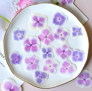 <span class=keywords><strong>Hydrangea</strong></span> Mona Lisa Trắng cạnh ép hoa cho nhựa nghệ thuật thực vật khung nến làm DIY Craft - Product Image 5