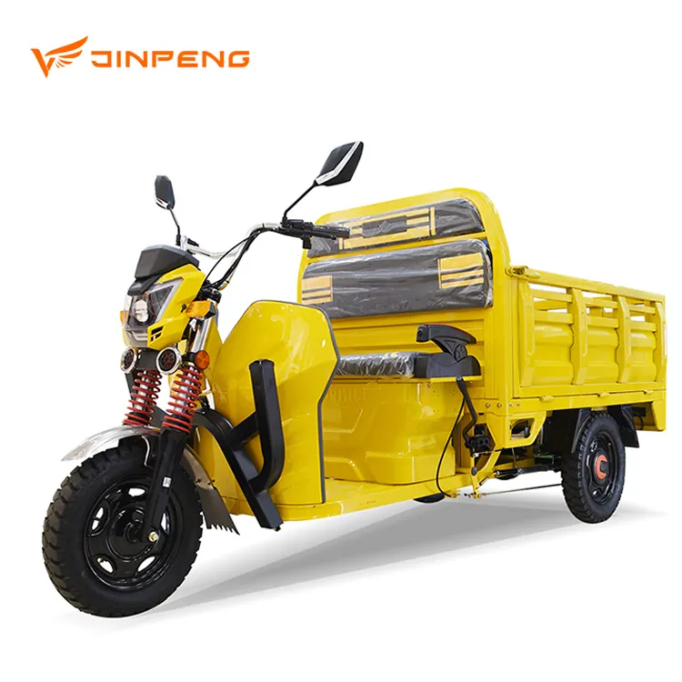 JINPENG 5007 завод высокое качество скалолазание холм рикша Электрический трицикл грузовой Электрический трицикл