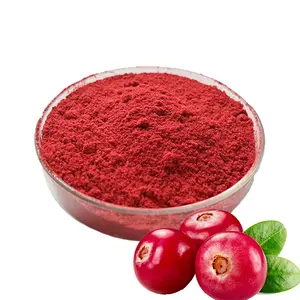Polvere di frutta e verdura polvere di mirtillo rosso 99% di alta qualità per uso alimentare