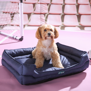 Cama para Perros Resistente al Agua, en Varios Tamaños, para Perros Pequeños, Medianos y Grandes - Product Image 3