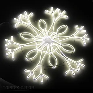 Toprex Thiết Kế Mới Lớn Mô Hình Bông Tuyết LED Nhấp Nháy Ánh Sáng Sợi Dây Thừng Trắng Giáng Sinh Neon Với RGB Và Màu Đỏ Phát Ra Màu Sắc