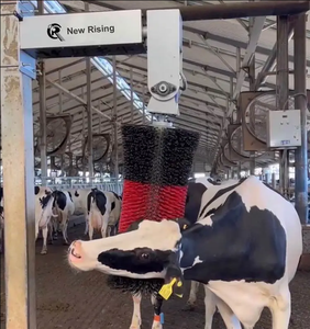 Juego de cepillos de limpieza profesional para vacas: <span class=keywords><strong>cerdas</strong></span> de nailon y herramientas de aseo de acero inoxidable para ganado y caballos - Product Image 3