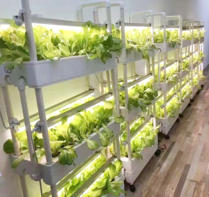 <b>Indoor</b> Hydroponic Vertical Farming Grow Rack System Mobile Rolling <b>Bench</b> Seedling Propagation Multi Tier ABSl Frame - Product Image 5