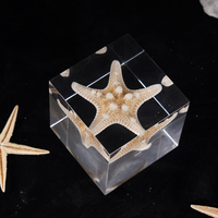 Ornement de maison Lucite Urchin Bones Block Acrylique Ocean Specimen Embedded Cube