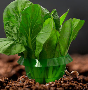 سبيكة بلاستيكية وأطواق حماية نبات حلزوني ، دفاع حلزوني بدون كيمياء ، طوق حلزوني يحمي النباتات للحصول على أفضل - Product Image 5