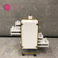 Chariot de rangement pour salon de coiffure Yicheng, vente en gros, chariot à roulettes en plastique pour salon de coiffure, chariot de rangement pas cher pour salons de coiffure