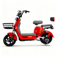 Scooter électrique 48V 350W, pneu à vide de 14 pouces, 2 places, vélo électrique, vélo électrique pour adultes