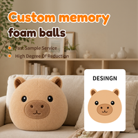 Ballon de plage gonflable en peluche populaire et très vendu, jouet en peluche doux à visage de dessin animé pour enfants et adultes, idéal pour les activités de plein air