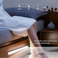 Détecteur de mouvement LED armoire lumière USB Rechargeable Induction veilleuse sans fil Portable détecteur lampe pour garde-robe couloir